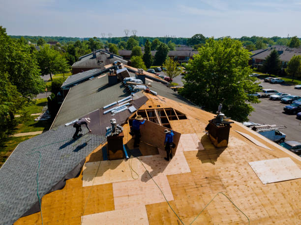 Best Roof Waterproofing Services  in Nyon Lake, CA