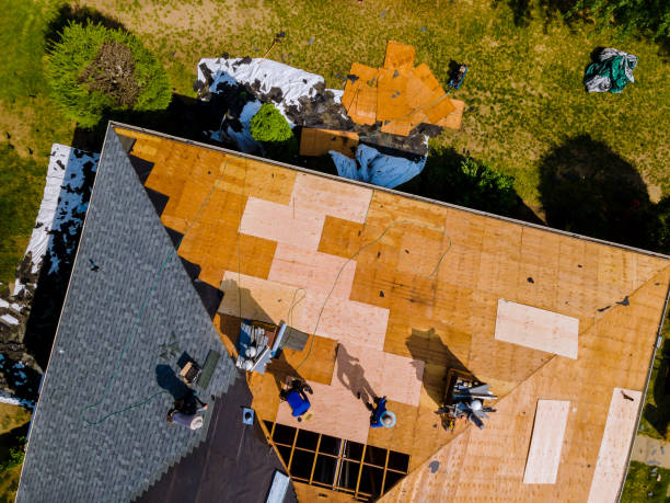 Best Roof Gutter Cleaning  in Nyon Lake, CA