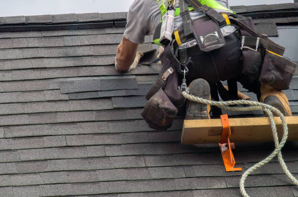 Best Roof Maintenance Services  in Nyon Lake, CA