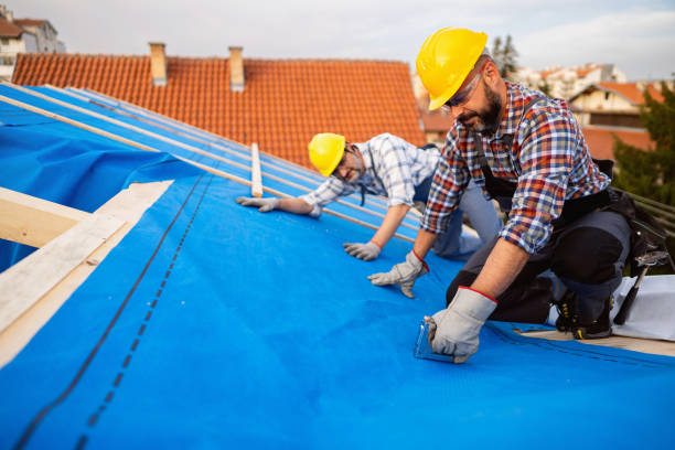 Best Roof Leak Repair  in Nyon Lake, CA