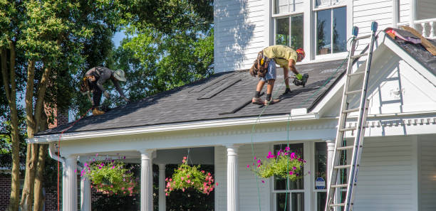 Roof Gutter Cleaning in Canyon Lake, CA