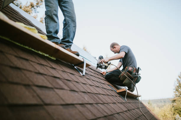 Best Roof Gutter Cleaning  in Nyon Lake, CA